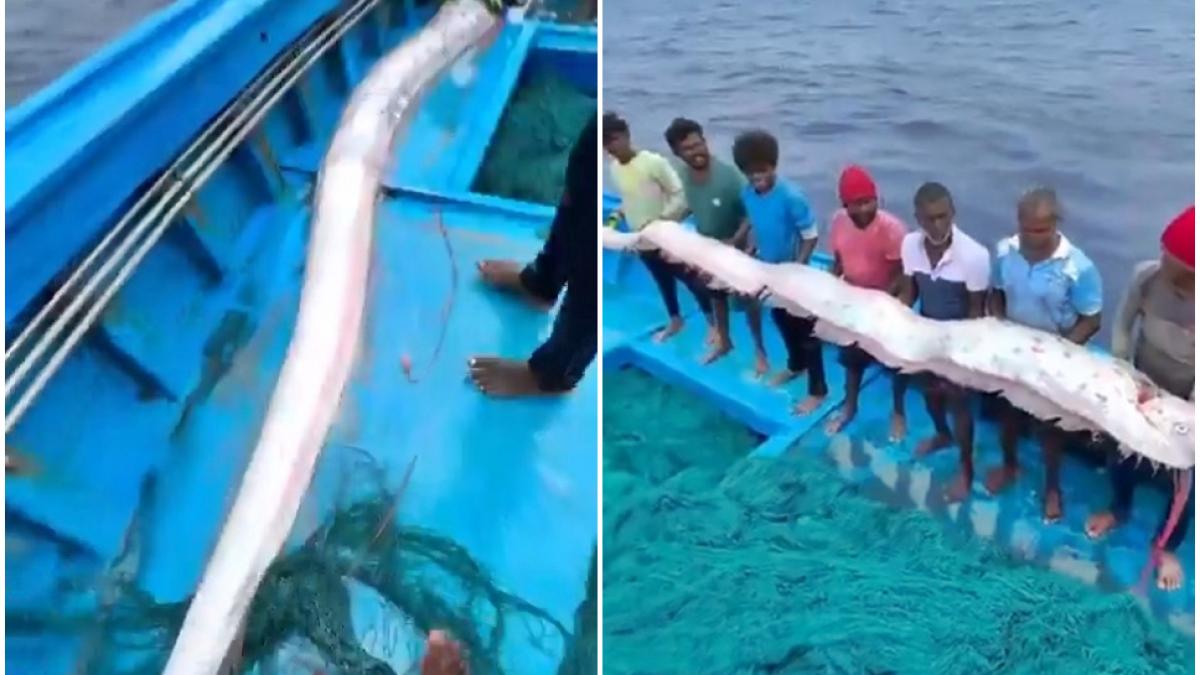 mai multi pescari au prins pestele apocalipsei s au fotografiat cu el si acum sunt ingroziti ca un dezastru ii va lovi curand