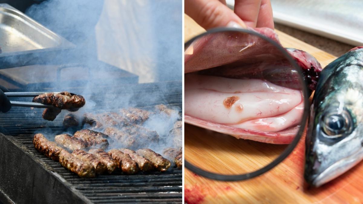 mici cu salmonella si pesti cu larve de anisakis au fost descoperiti de inspectorii sanitar veterinari din buzau s au dat amenzi mari