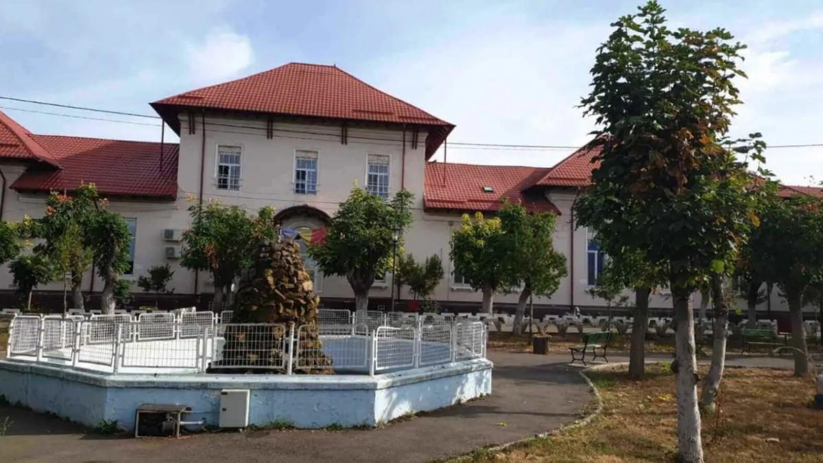 pacientii spitalului de psihiatrie sapoca din buzau erau batuti si legati a fost deschis un dosar penal