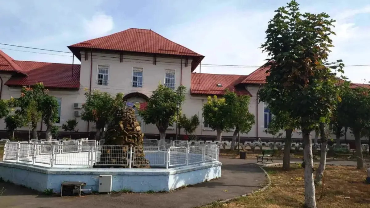 pacientii spitalului de psihiatrie sapoca din buzau erau batuti si legati a fost deschis un dosar penal
