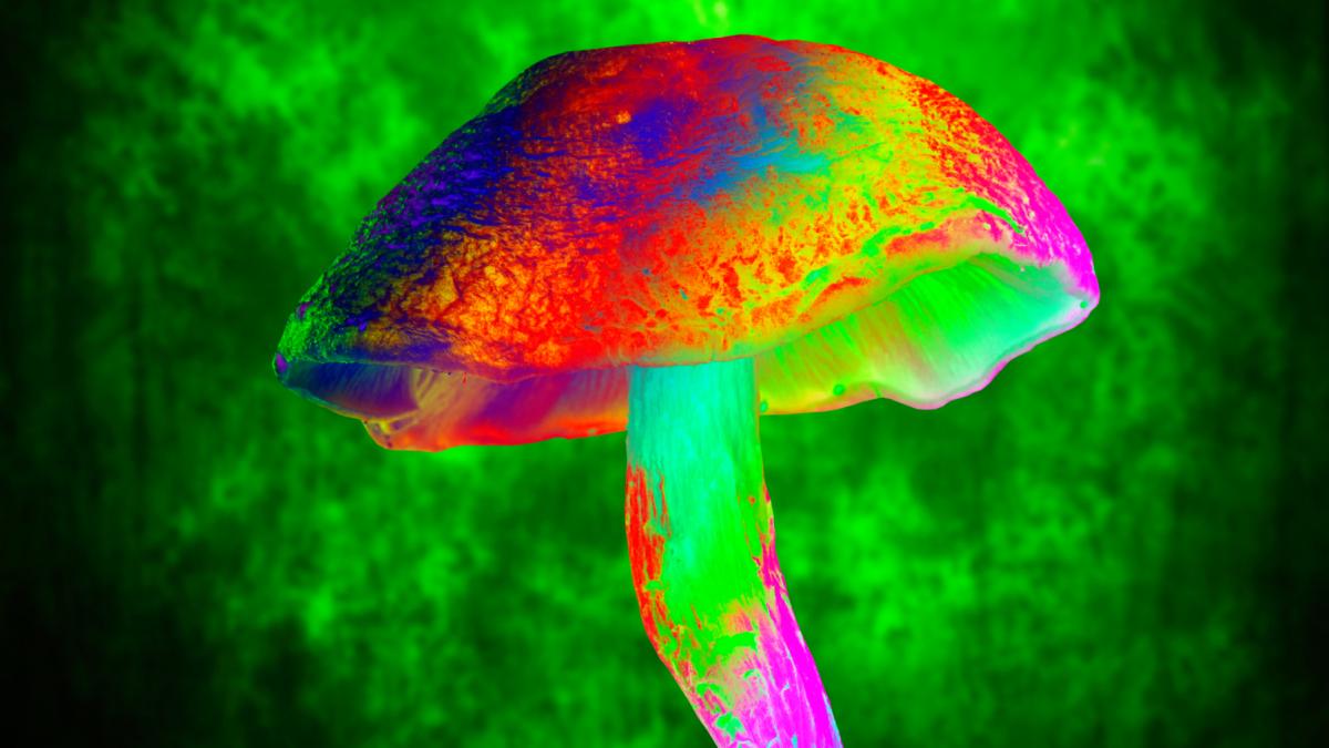 o singura doza de psilocibina poate trata depresia cel putin 5 ani anunta cercetatorii ce au descoperit despre ciupercile magice