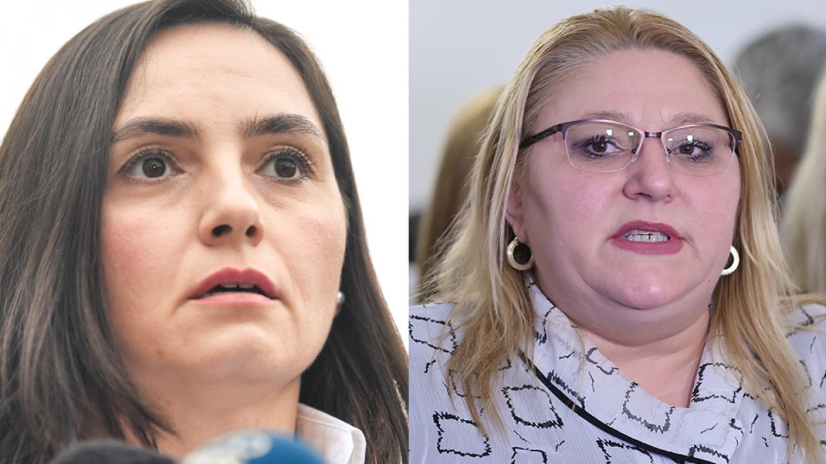 cearta la suveranisti anamaria gavrila o acuza pe diana sosoaca lidera sos ca si a vandut partidul