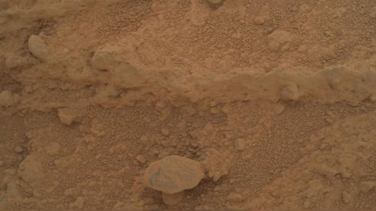 ciuperca misterioasa pe marte este acesta un semn de viata pe planeta rosie