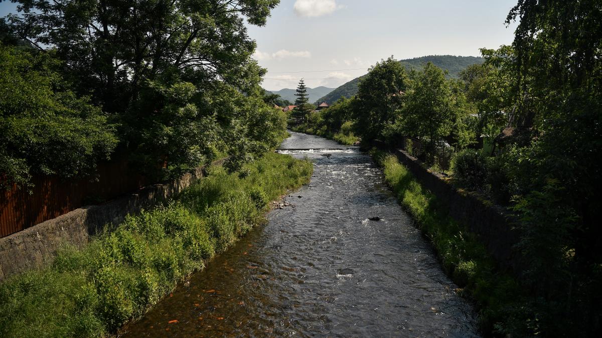 ecosistemul de pe tarnava mica este practic distrus nu mai misca nimic si ar putea reveni tocmai peste 10 ani