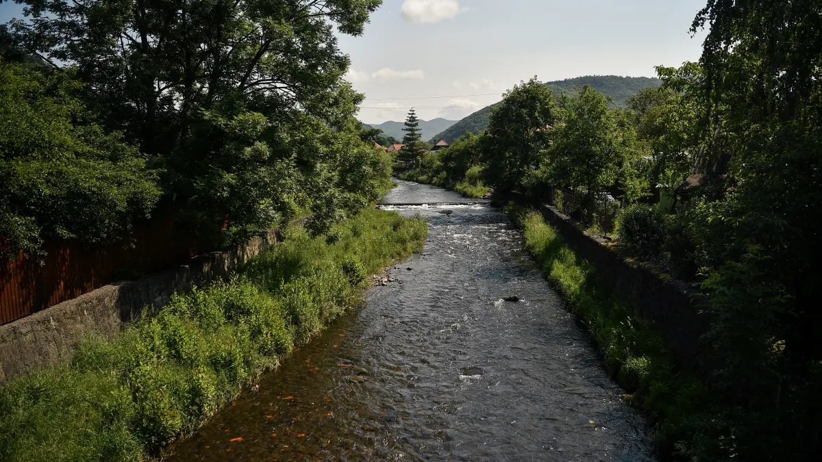 ecosistemul de pe tarnava mica este practic distrus nu mai misca nimic si ar putea reveni tocmai peste 10 ani