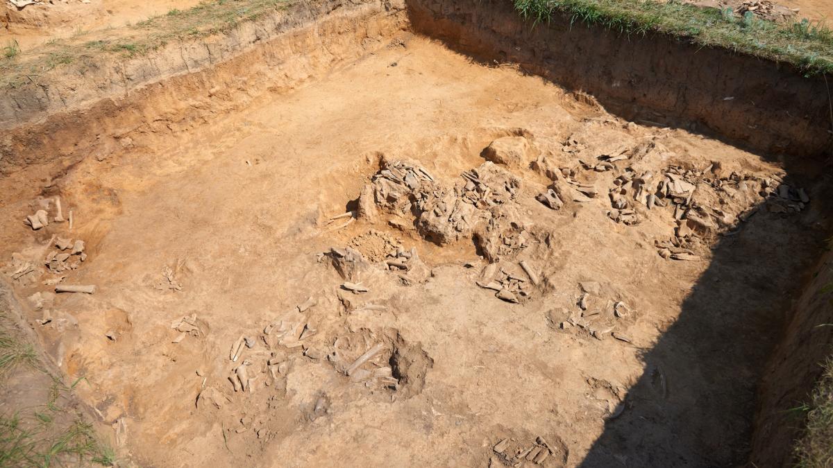 aproape 800 de bebelusi morti ingropati intr o groapa comuna in irlanda acel secret murdar si urat nu va mai fi secret