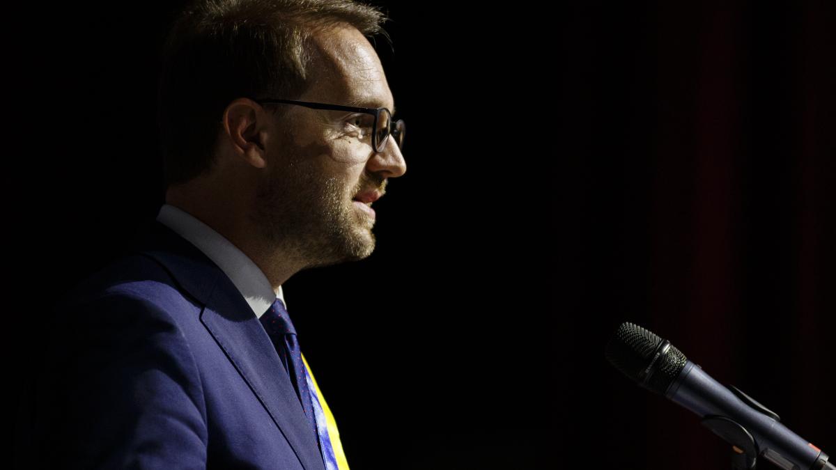 dominic fritz a fost validat in functia de presedinte al usr ne propunem sa castigam 100 de primarii in 2028