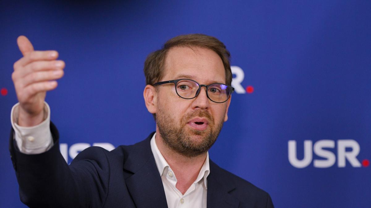 dominic fritz recunoaste ca l a vorbit un pic de rau pe sorin grindeanu