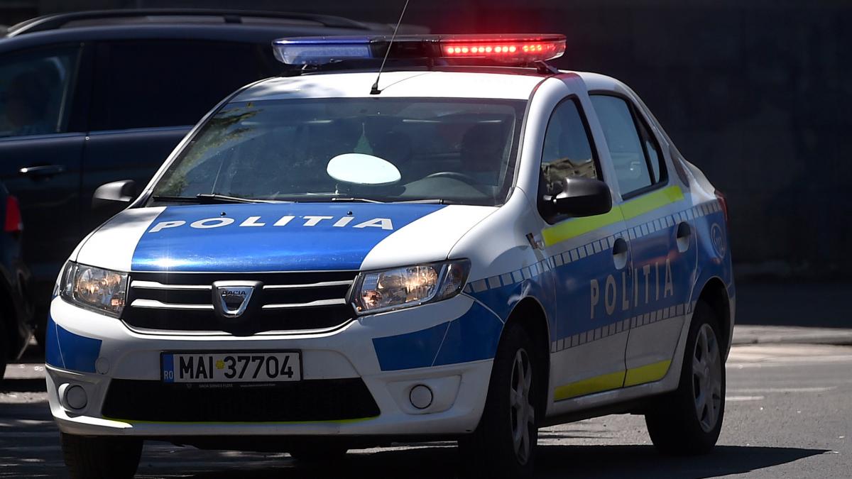 un barbat din alba a facut o descoperire uluitoare in timp ce sapa ca sa construiasca un gard politia a fost alertata