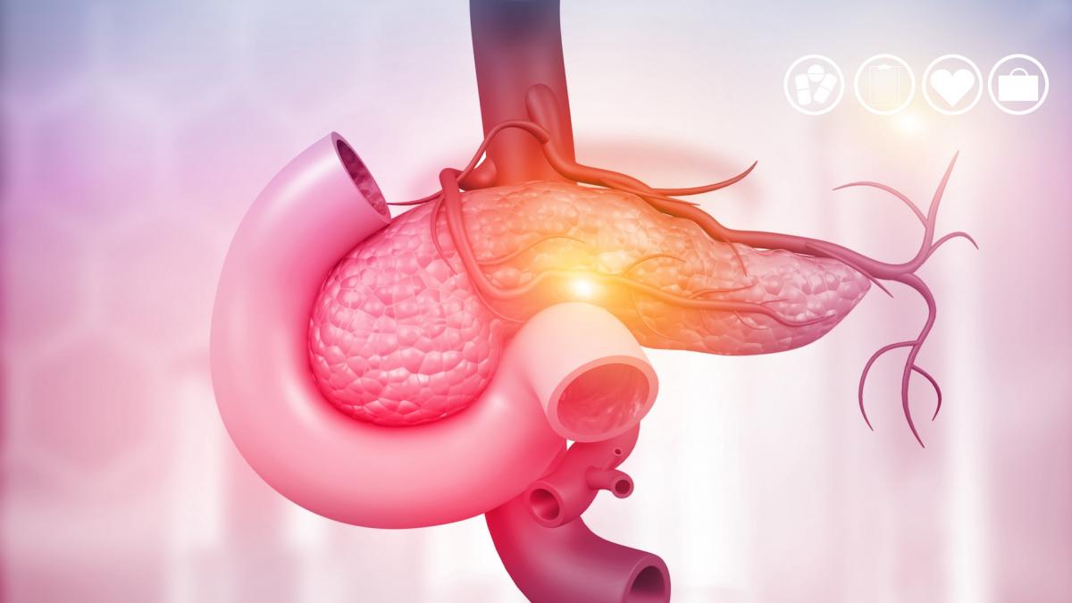 insulina nu este produsa doar de pancreas medicii au descoperit un alt loc prea putin cunoscut