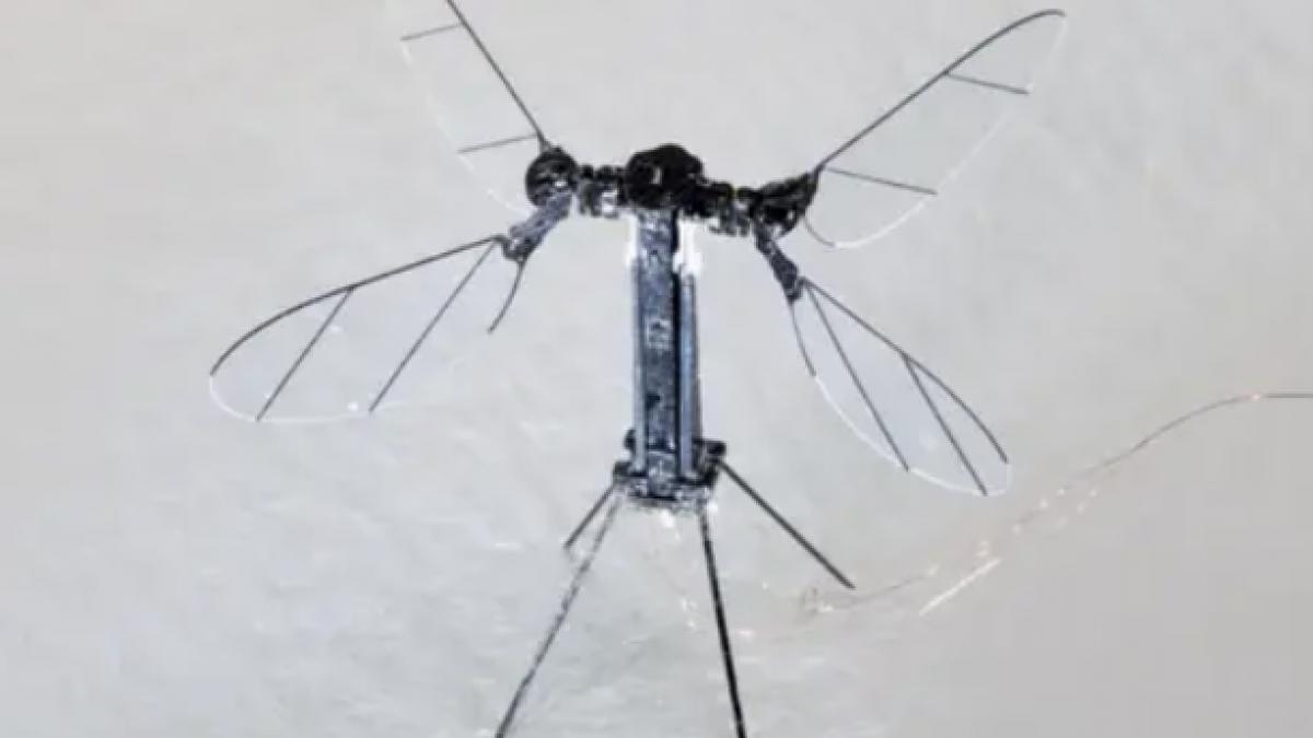 china a creat o drona cat un tantar pentru misiuni militare secrete are chiar si aripi care se misca exact ca cele ale unei insecte