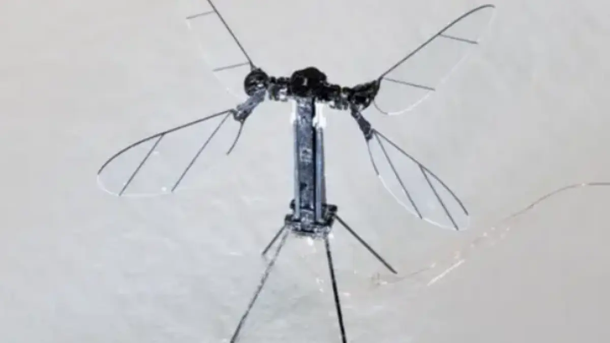 china a creat o drona cat un tantar pentru misiuni militare secrete are chiar si aripi care se misca exact ca cele ale unei insecte