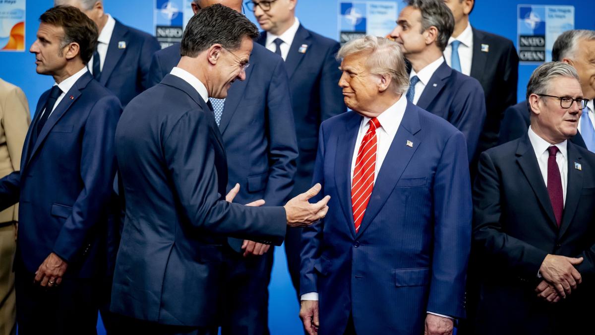 summit nato la haga zelenski avertizeaza ca rusia ar putea ataca o tara din alianta in urmatorii 5 ani