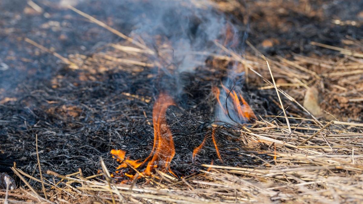 oamenii de stiinta au descoperit ca oamenii foloseau focul chiar de acum 50 000 de ani