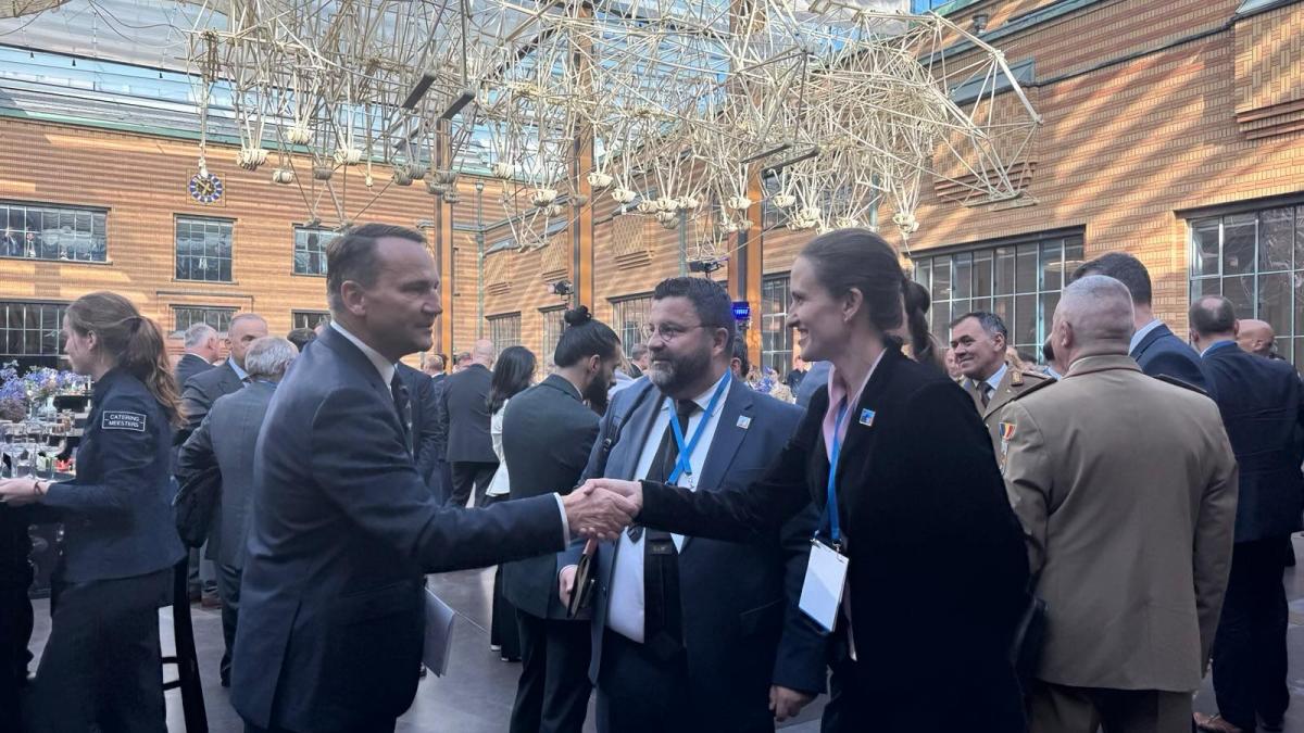 oana toiu a participat la consiliul nato ucraina de la haga am subliniat importanta unei paci juste si durabile in ucraina