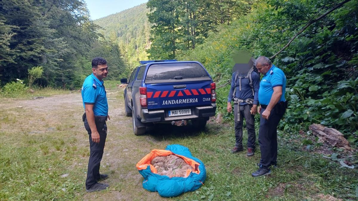 operatiune inedita pe munte un catel care nu mai putea sa mearga a fost salvat de jandarmi fiecare viata conteaza