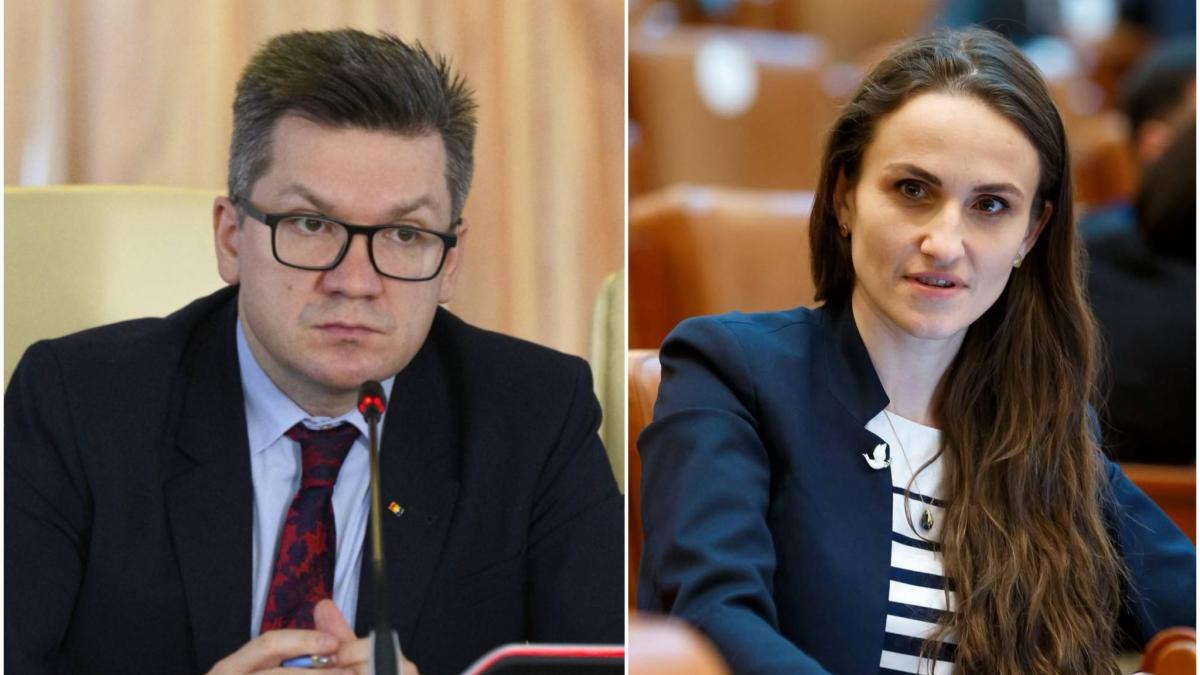 simion refuza sa il schimbe pe mihail neamtu de la sefia comisiei de cultura dupa derapajul la adresa oanei toiu