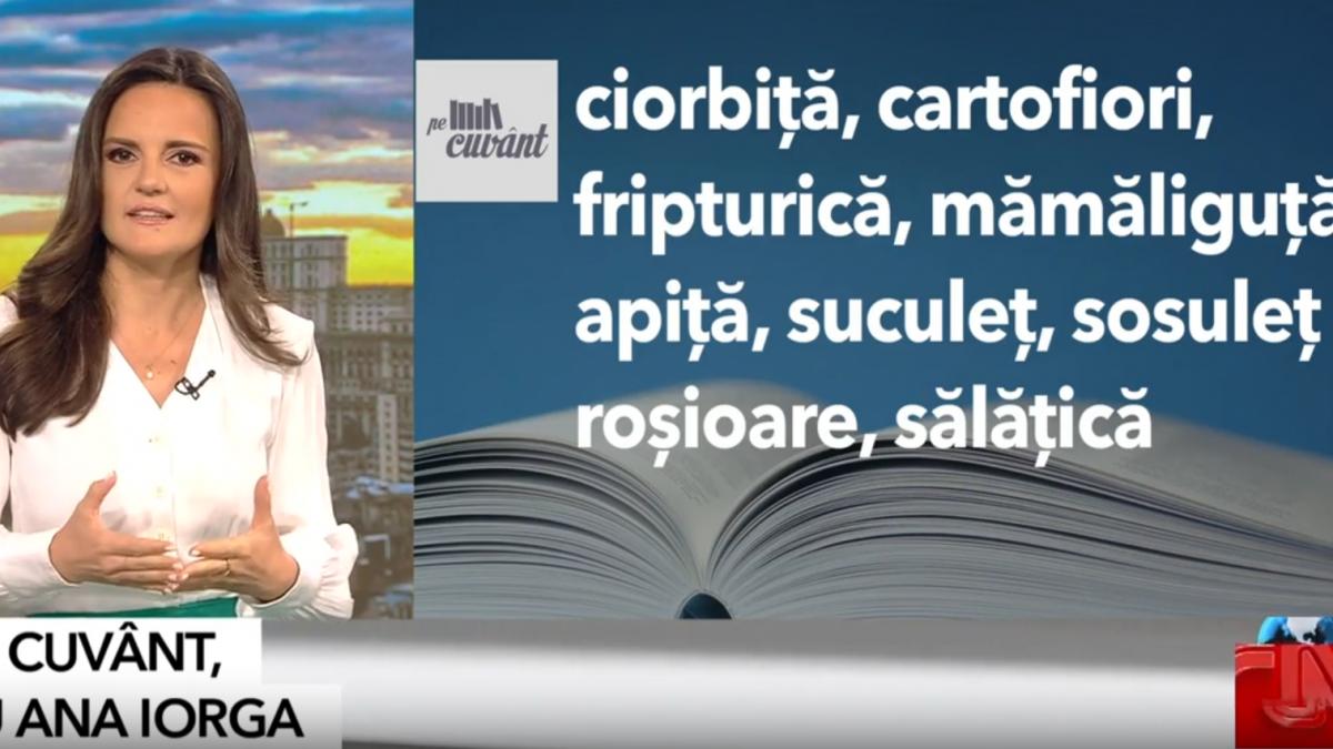top 5 al domeniilor in care ne au invadat diminutivele de la punguta si facturica la genute si lunite