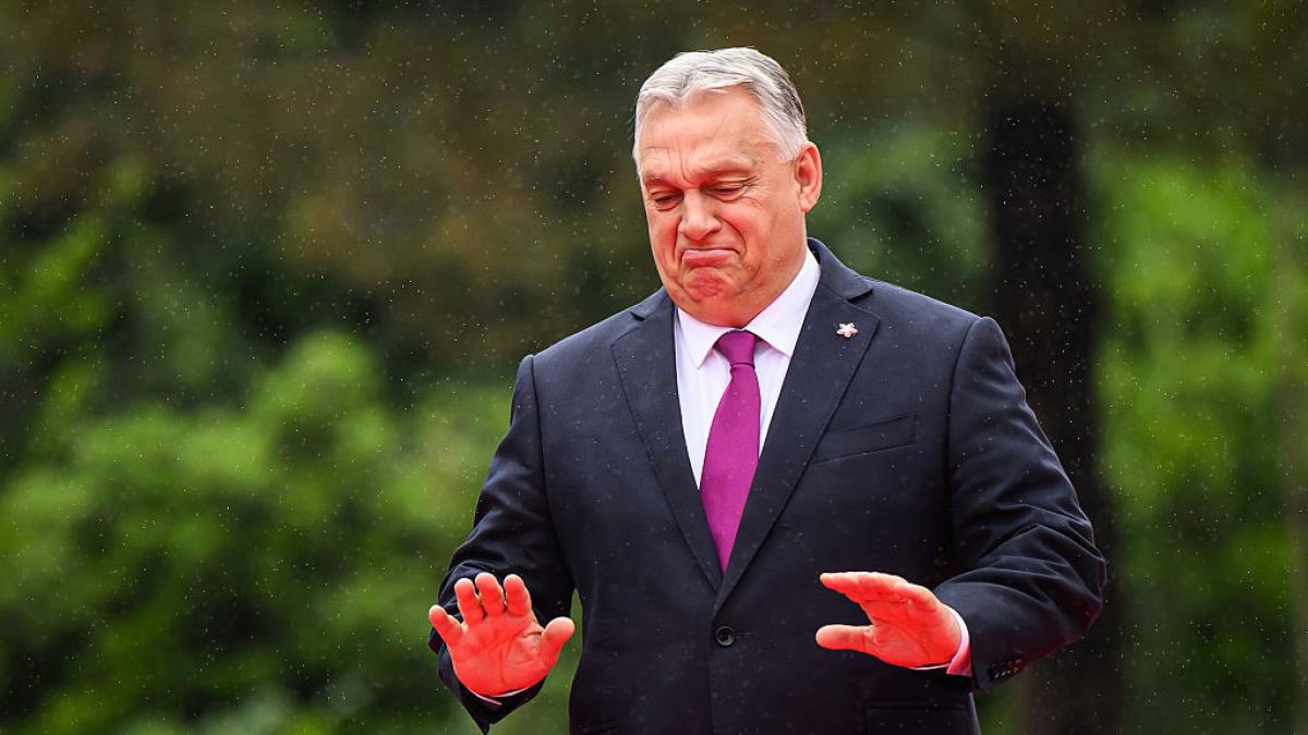 viktor orban spune ca este sarcina lui sa se asigure ca ucraina nu adera la nato alianta nu are nicio treaba in ucraina