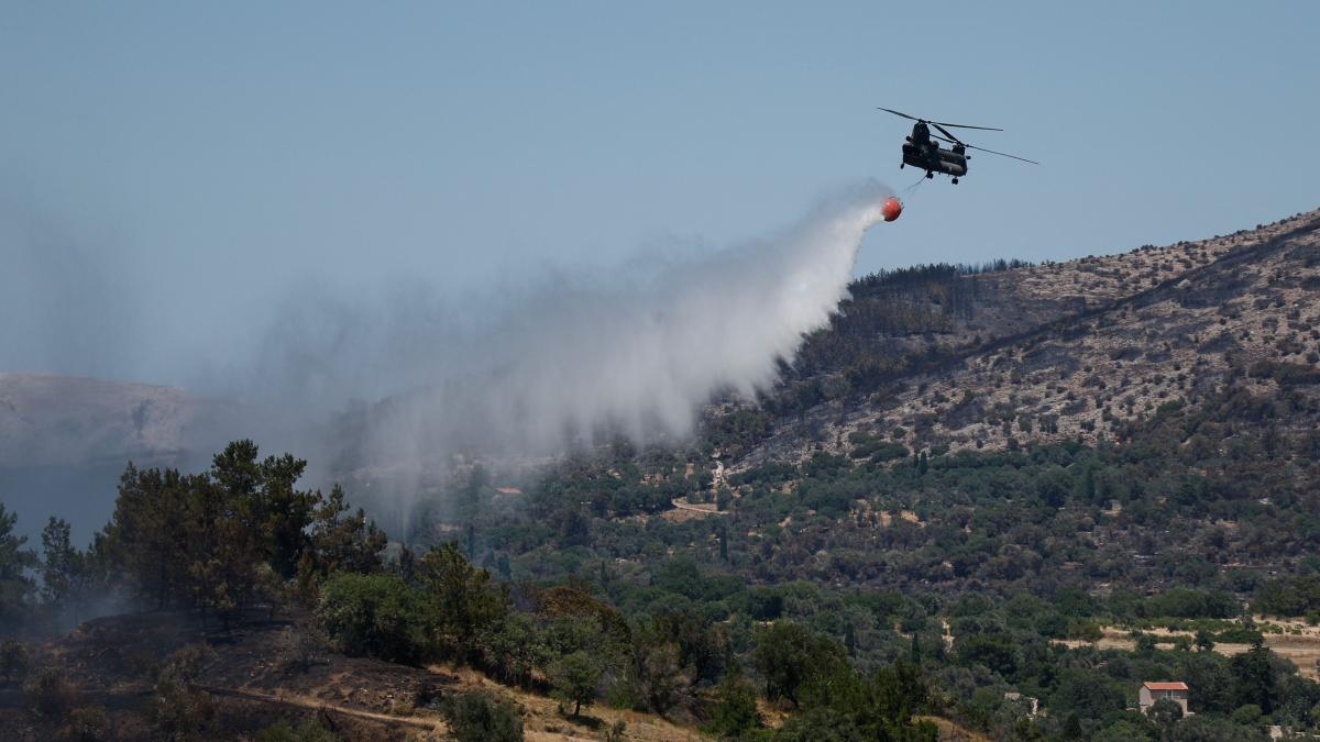 o femeie a aruncat o tigara si a incendiat o intreaga insula din grecia
