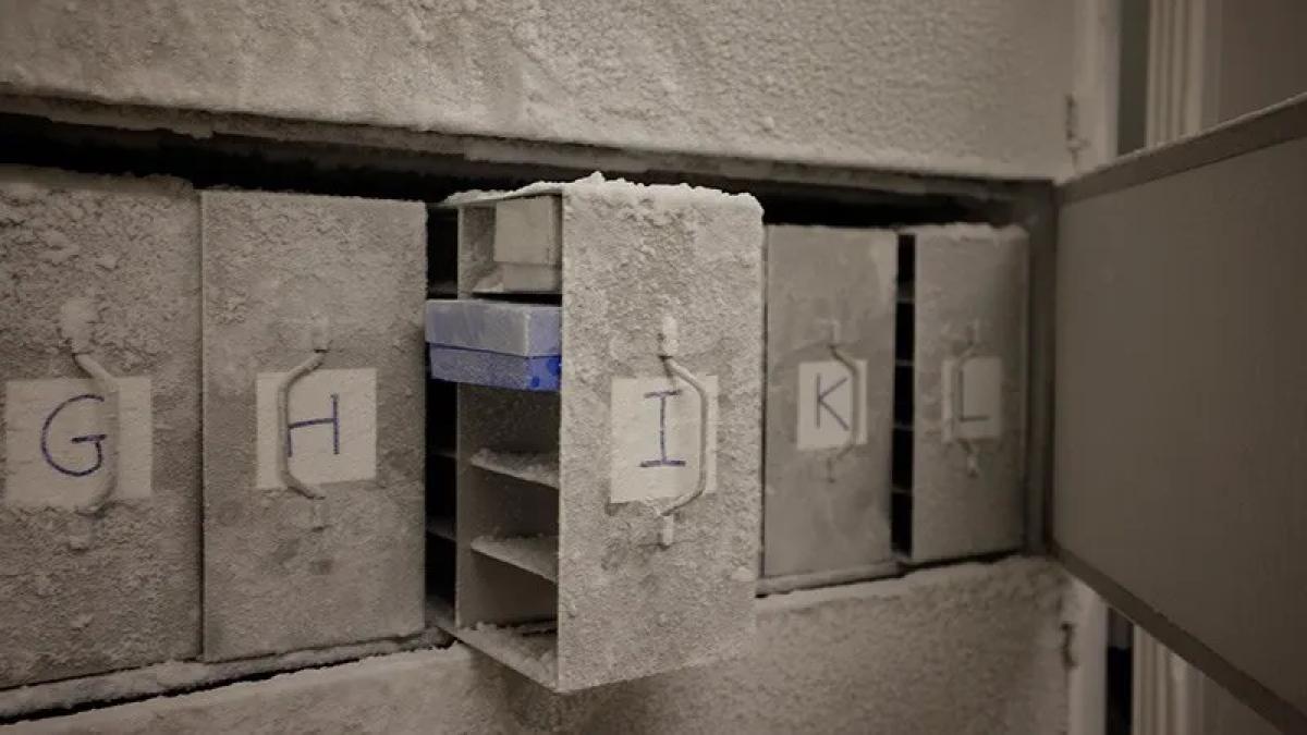 oamenii de stiinta vor 10 000 de mostre de fecale umane pentru seiful apocalipsei cu microbi obligatie fata de generatii viitoare