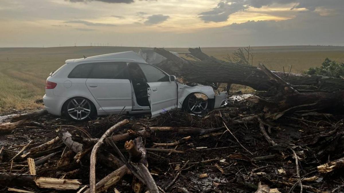 un copac a strivit o masina in care erau doi copii si doua femei pe un drum din teleorman au ajuns toti la spital