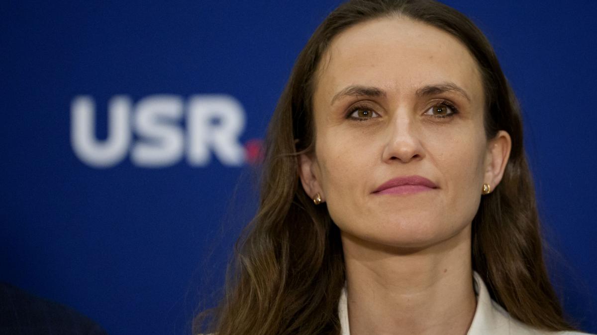 oana toiu a discutat cu omologul francez despre parteneriatul strategic romania franta