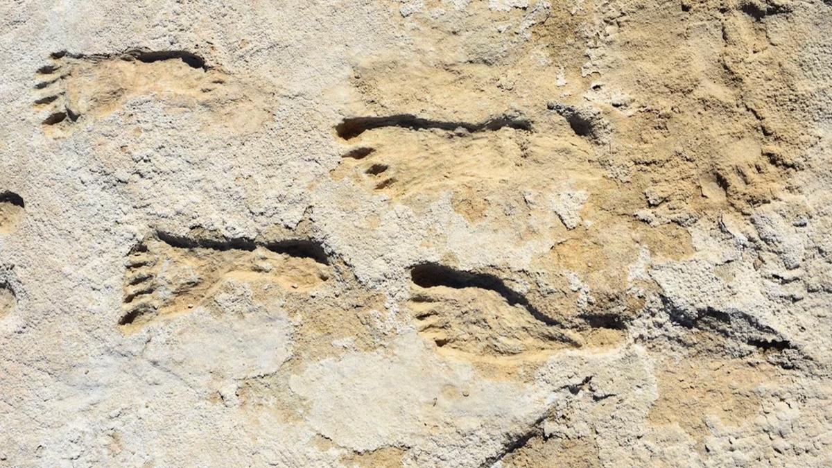 arheologii au descoperit urme de pasi umani vechi de 23 000 de ani in sua