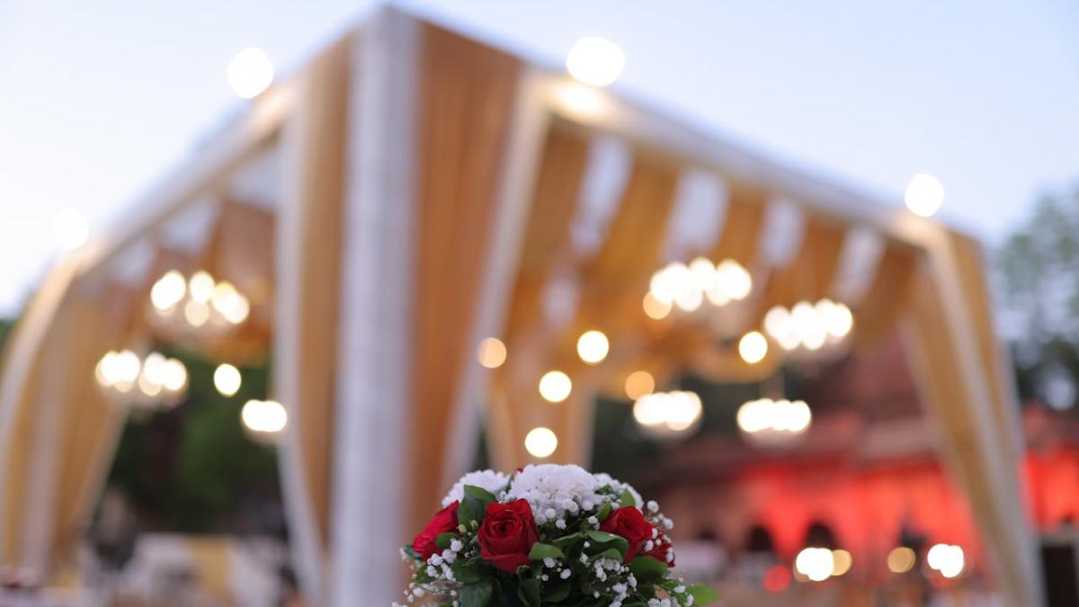 arta de a alege florile perfecte pentru fiecare moment special doar la maison dadoo