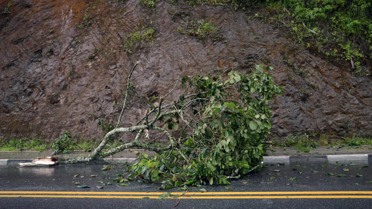 avertizare imediata de la anm cod galben de vant puternic in trei judete