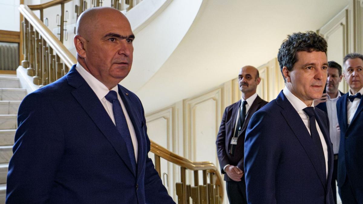 ilie bolojan si nicusor dan