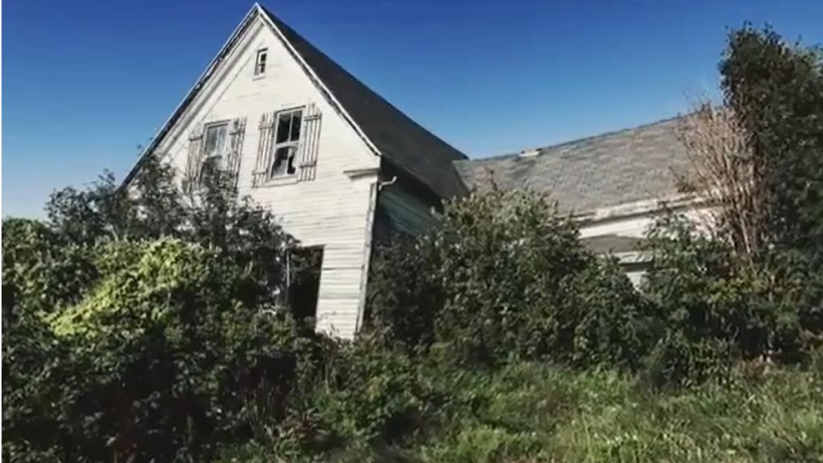 doi olandezi si au tinut copiii 3 ani intr un buncar dintr o padure italiana ca sa i apere de virusi au 9 si 6 ani dar poarta scutece