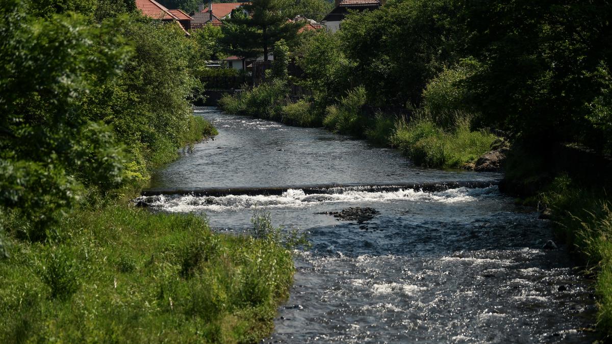 dupa aproape o luna salinitatea apei din raul tarnava mica incepe sa scada