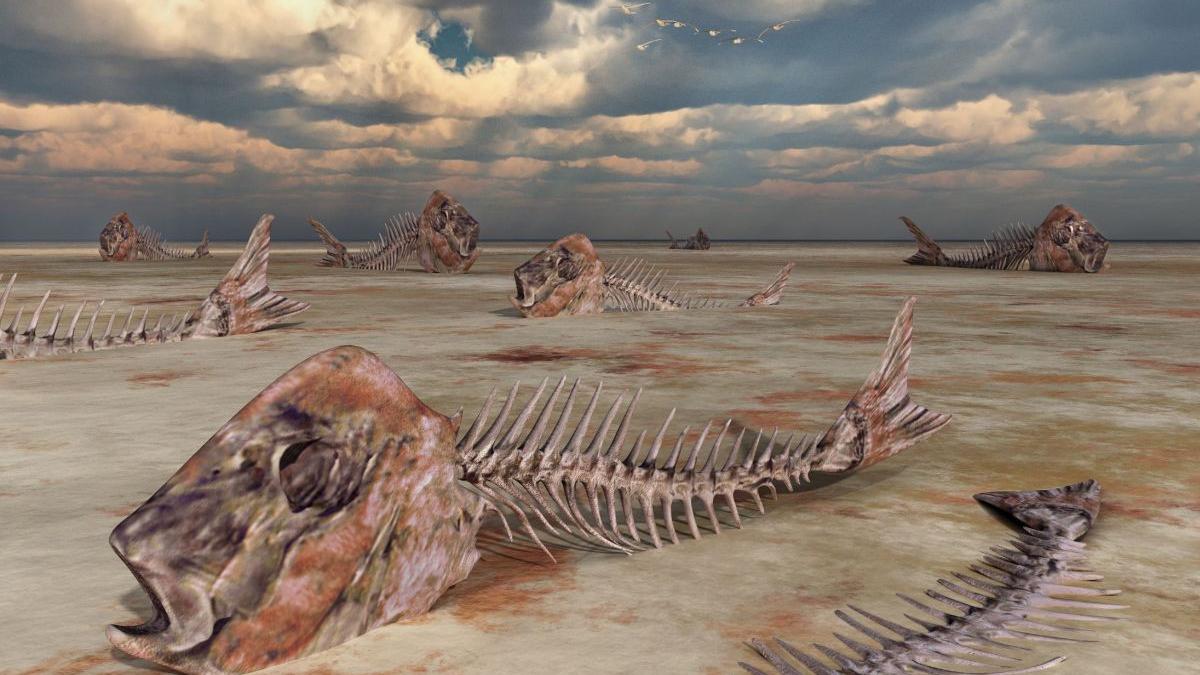 aproape toata viata de pe terra a pierit acum un sfert de miliard de ani motivul pentru care planeta s a incalzit ca iadul in permian