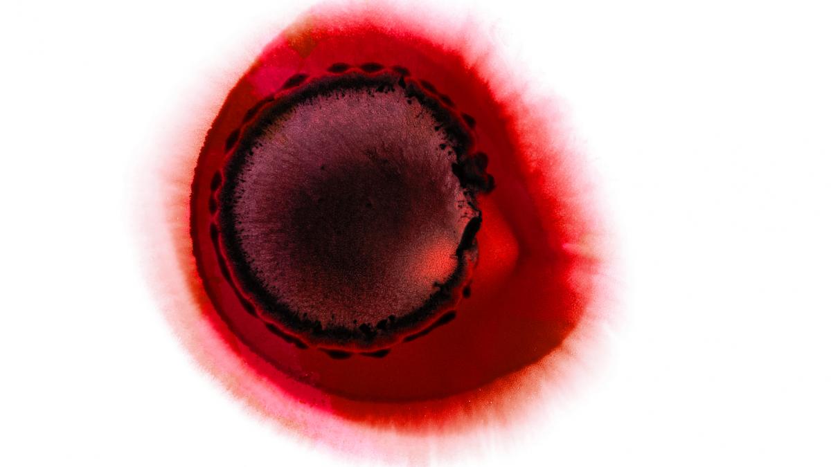 cercetatorii au descoperit o creatura care exista intre viata si non viata sukunaarchaeum mirabile a fost denumita dupa o zeitate