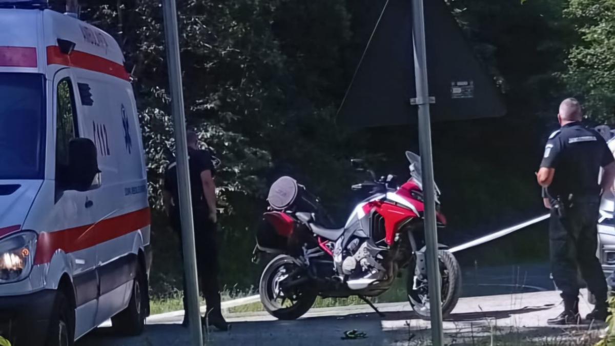 Un motociclist din Italia a fost ucis de o ursoaică, pe Transfăgărășan. Bărbatul, omorât în pădure. Ursoaica a fost împușcată ulterior