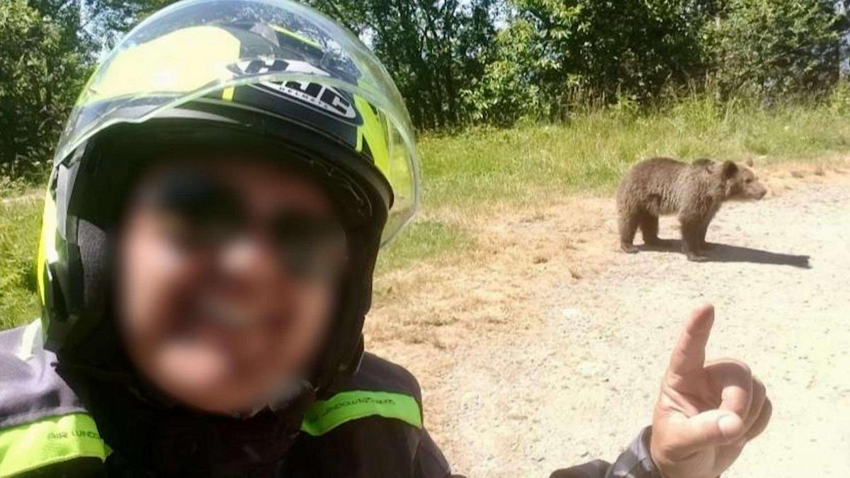 italianul mort pe transfagarasan s a intors sa hraneasca ursoaica agresiva care l a ucis cu o zi in urma filmase alti doi ursi in zona