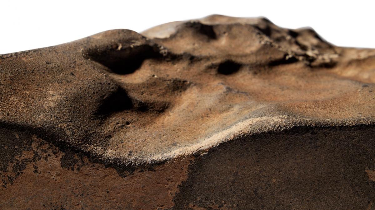 cea mai mare roca de pe marte descoperita pe pamant ar putea fi vanduta cu 4 milioane de dolari
