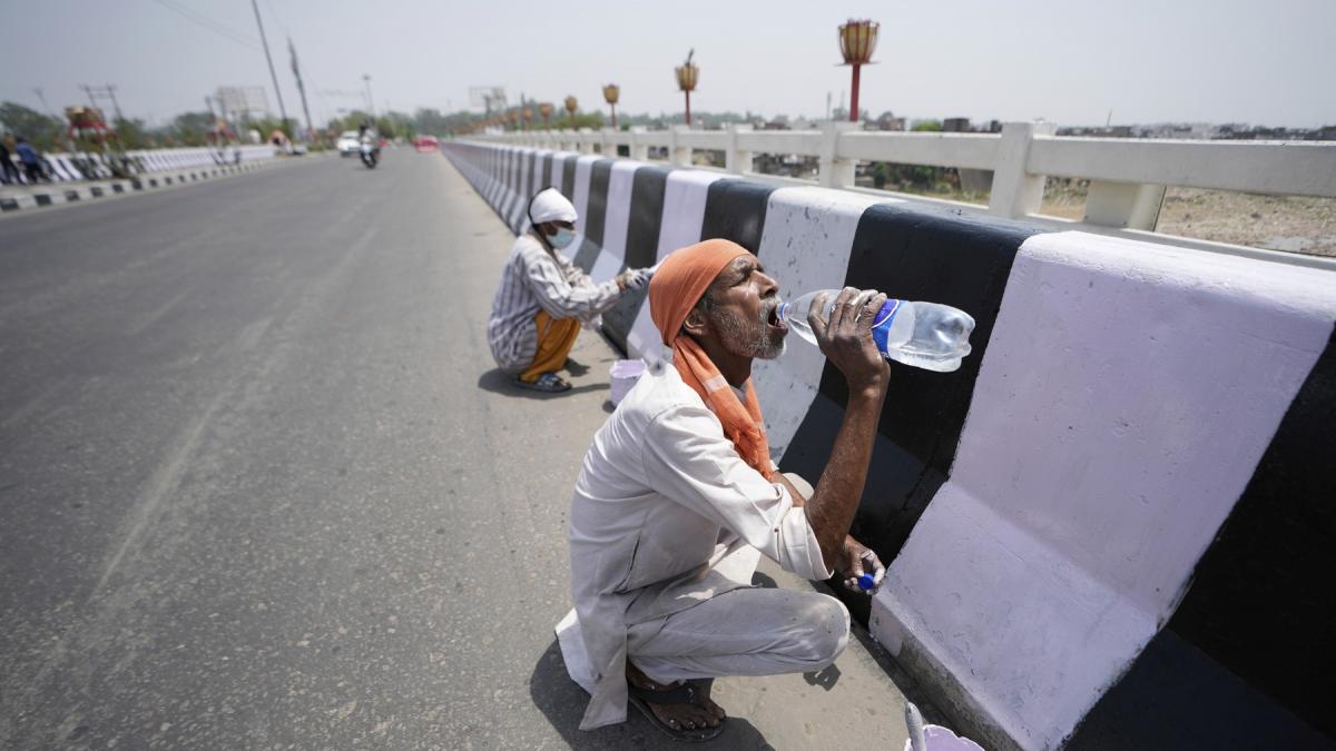 nyt o zi la 50 de grade celsius in tara in care nu te poti opri din munca nici cand simti ca arzi pentru ca altfel mori de foame