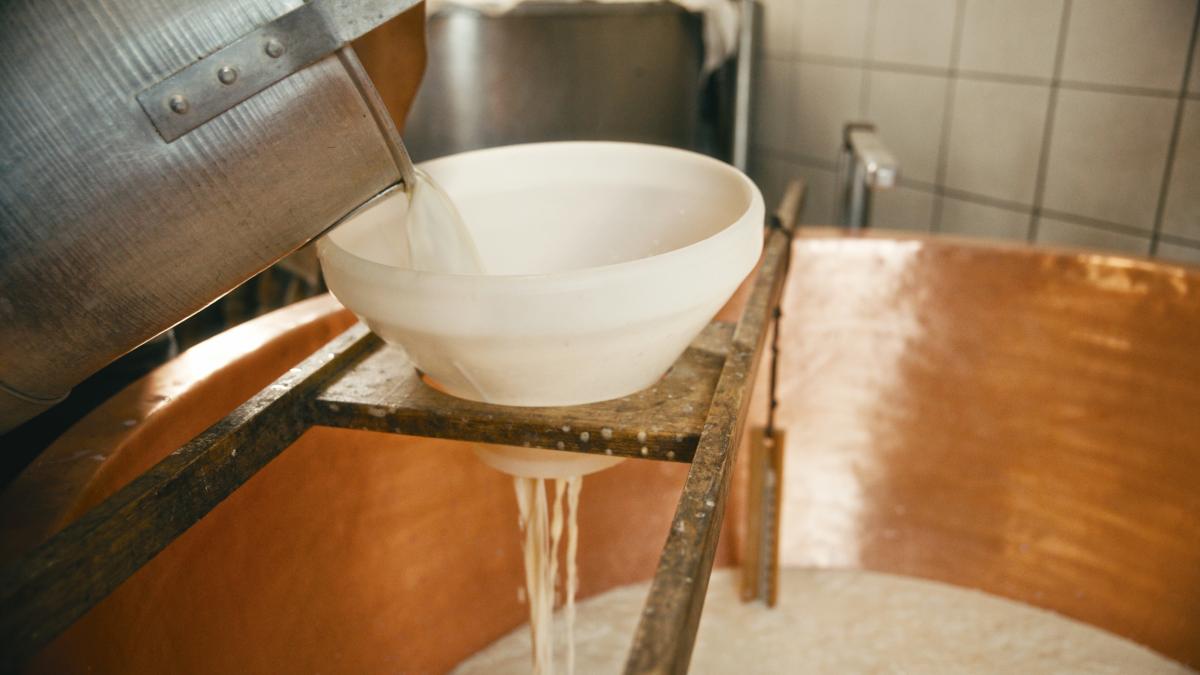 cele mai bune si apreciate branzeturi din bulgaria se produc intr o inchisoare povestea acestei afaceri inedite