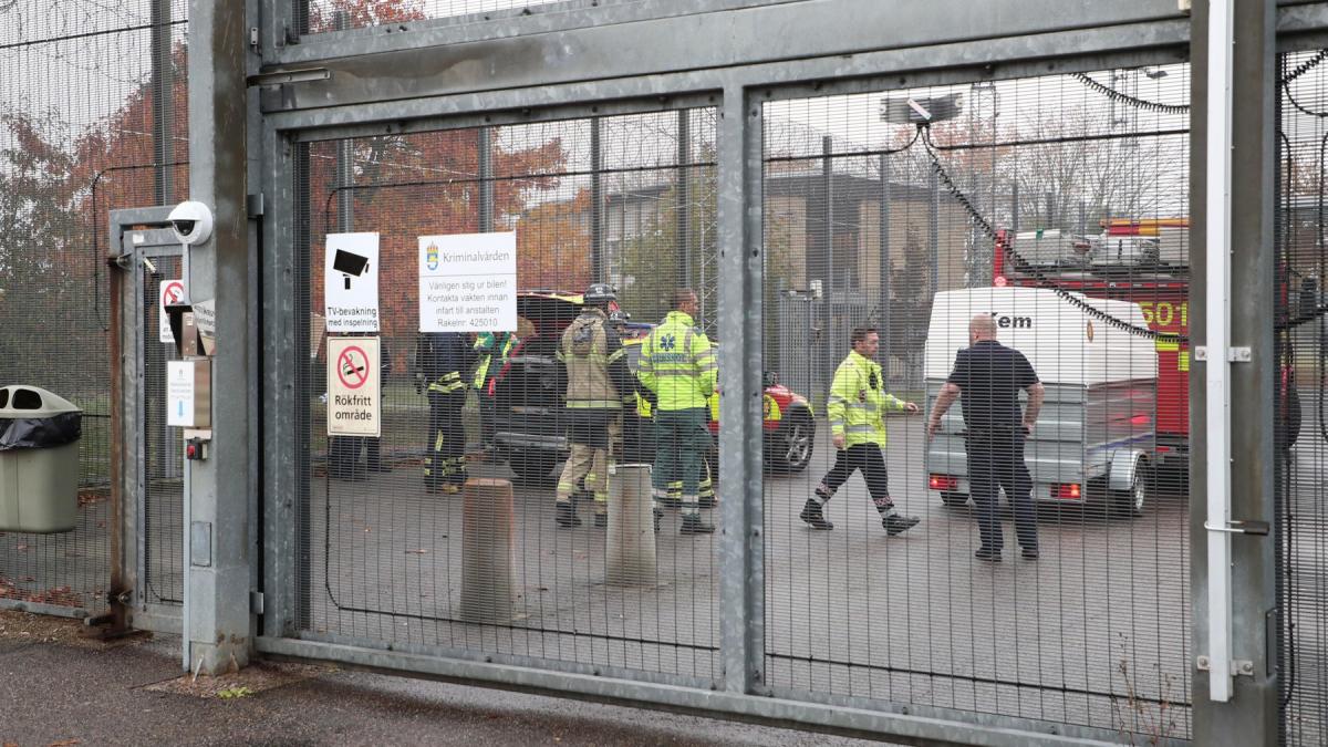 tara din uniunea europeana care nu mai are loc in inchisori si a inchiriat celule de la vecini