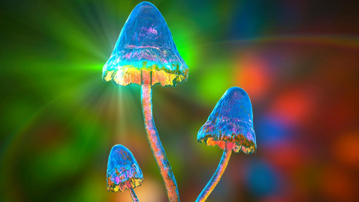 am fost uluit de date psilocibina din ciuperci incetineste imbatranirea si prelungeste viata celulelor umane arata noile studii