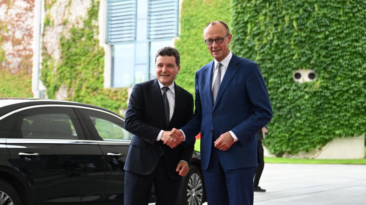 presedintele nicusor dan sustine o conferinta de presa alaturi de cancelarul friedrich merz