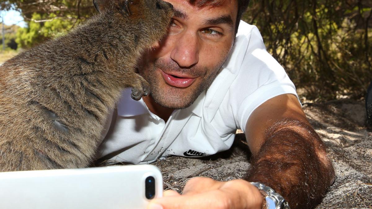 roger federed selfie quokka australia 2017