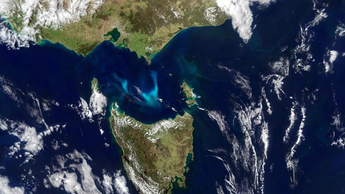 cercetatorii nasa au ramas uimiti de descoperirea unei creaturi oceanice masive care straluceste in intuneric vizibila din spatiu