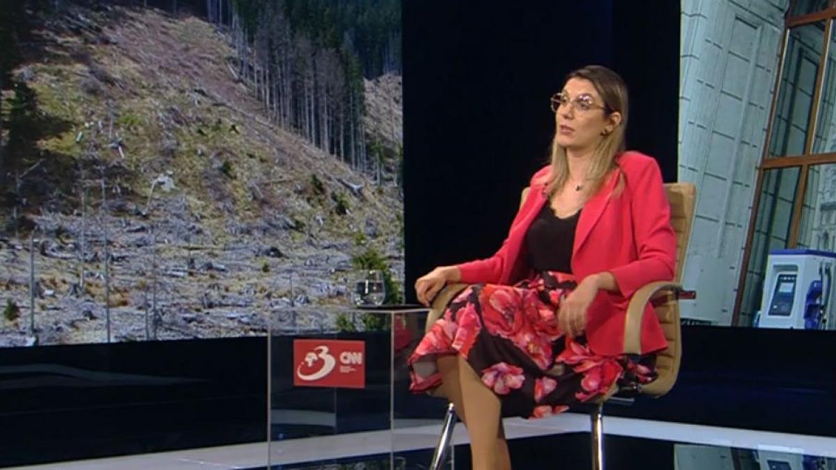 diana buzoianu 99 de directori romsilva au avut 22 de milioane de lei in salarii si sporuri lunar anul trecut