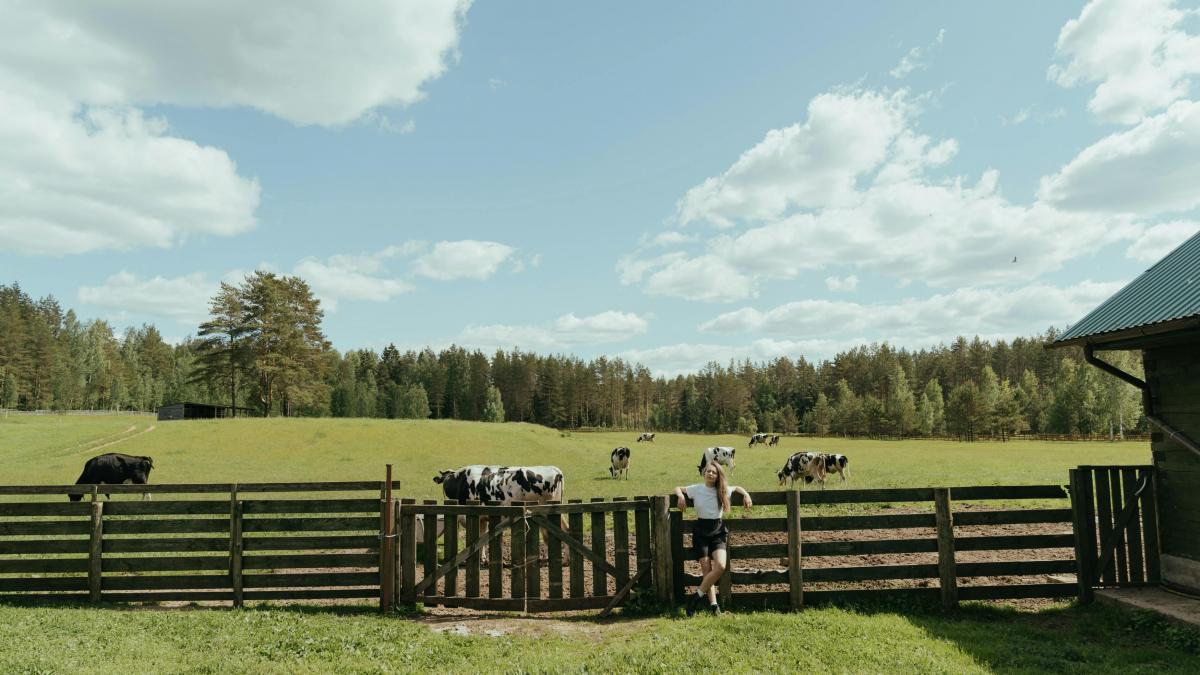 5 masuri de preventie a bolilor la ferma