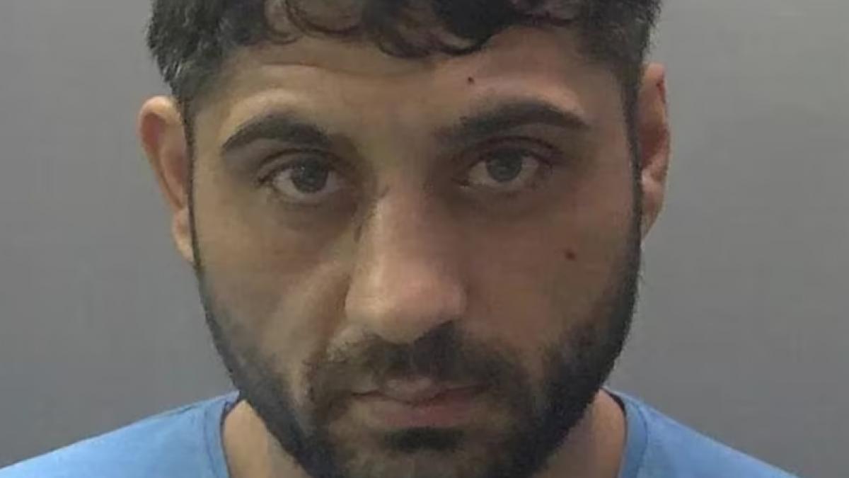 roman condamnat dupa ce a lovit cu piciorul in cap o fetita pe o strada din marea britanie politie un bataus periculos