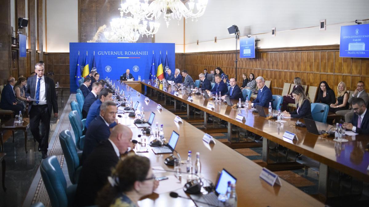 cine sunt consultantii din privat care vor ajuta guvernul cu reformele crenguta leaua avocata din procesul rosia montana pe lista