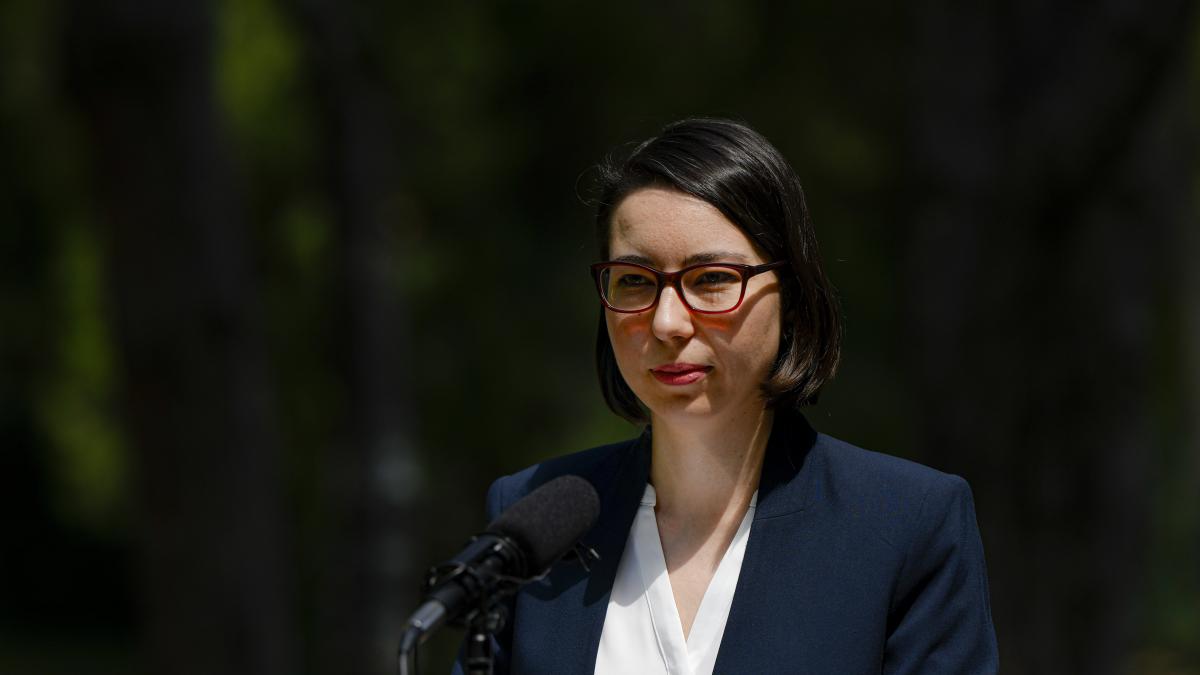 ana ciceala candideaza pentru functia de primar al capitalei e sustinuta de doua partide